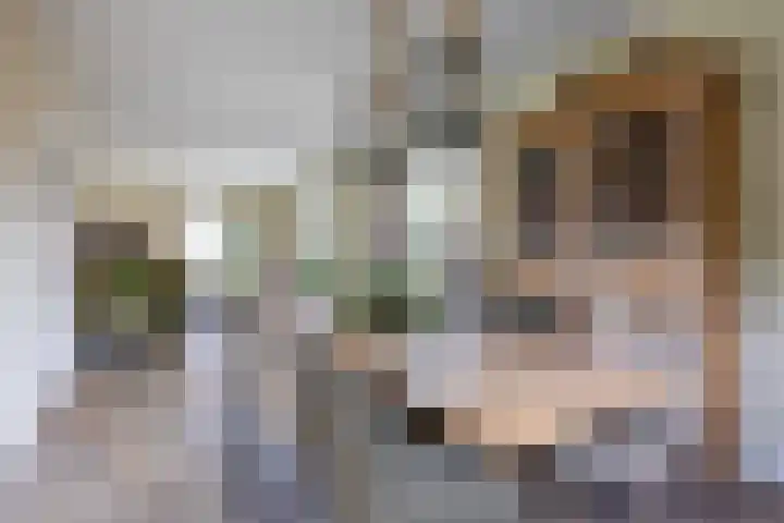 Hoekweg 33 Vroomshoop thumbnail 17