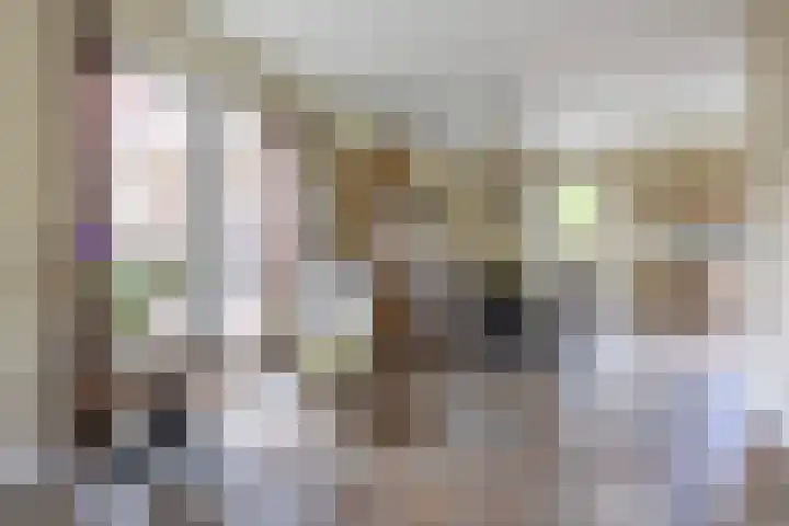 Hoekweg 33 Vroomshoop thumbnail 18