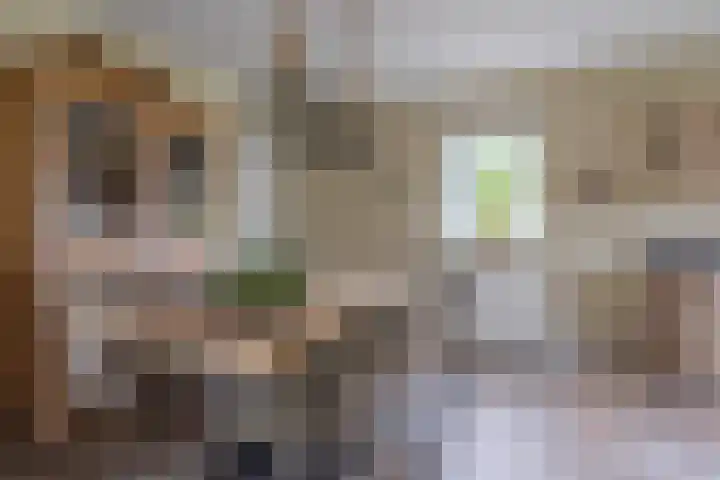 Hoekweg 33 Vroomshoop thumbnail 19