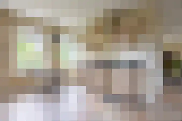 Hoekweg 33 Vroomshoop thumbnail 21