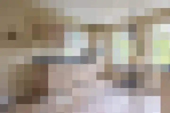 Hoekweg 33 Vroomshoop thumbnail 22