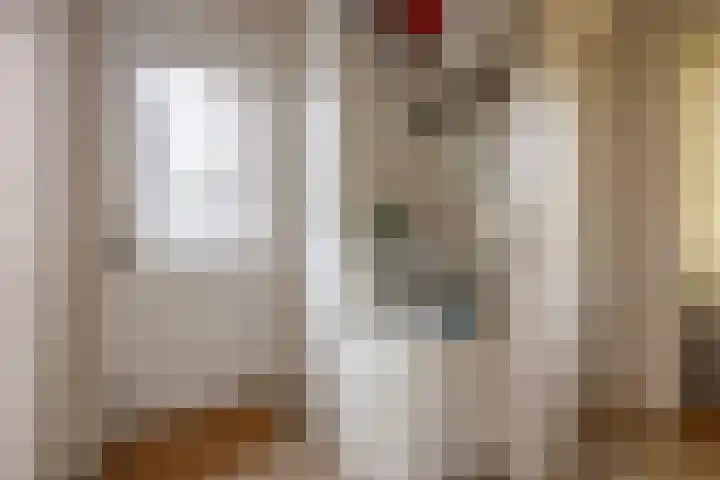 Hoekweg 33 Vroomshoop thumbnail 24