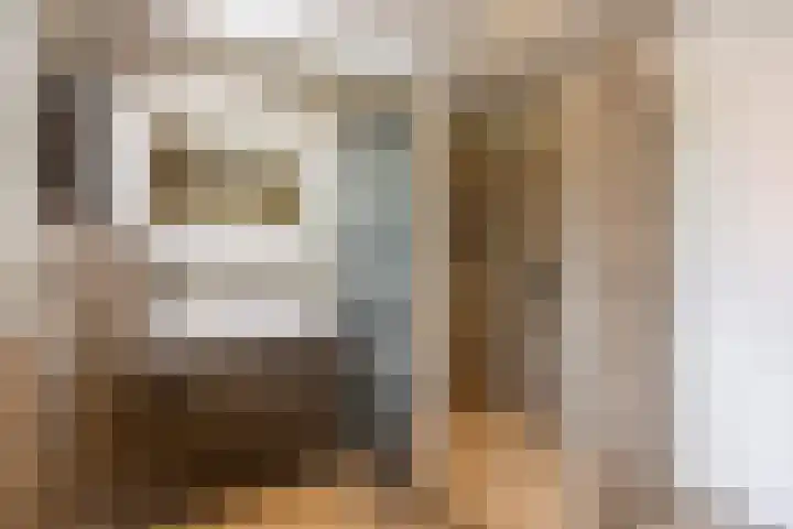 Hoekweg 33 Vroomshoop thumbnail 26