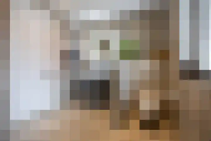 Hoekweg 33 Vroomshoop thumbnail 27