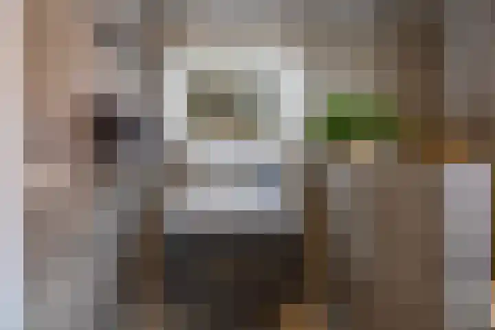 Hoekweg 33 Vroomshoop thumbnail 28