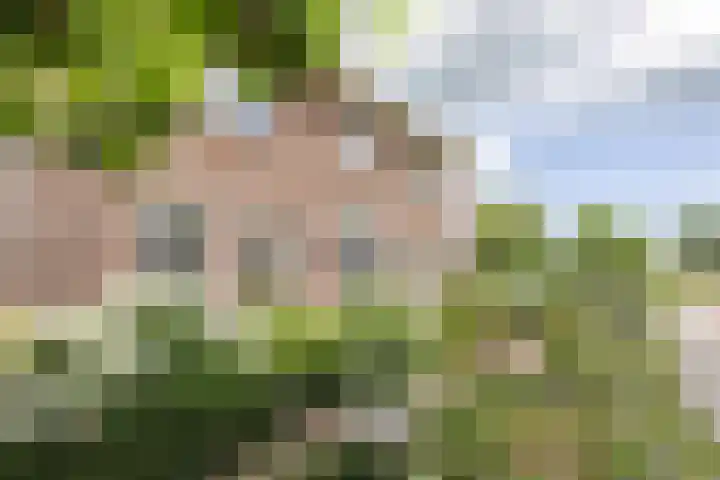 Hoekweg 33 Vroomshoop thumbnail 33