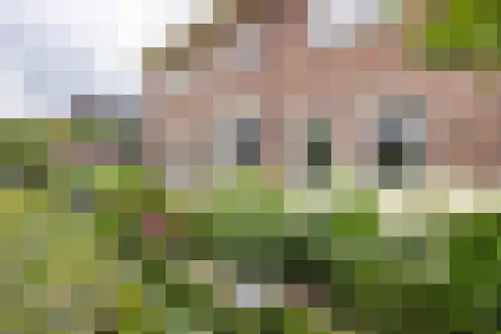 Hoekweg 33 Vroomshoop thumbnail 34