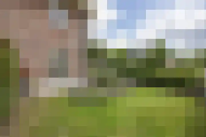 Hoekweg 33 Vroomshoop thumbnail 36