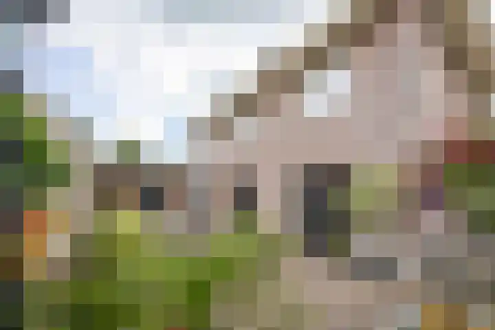 Hoekweg 33 Vroomshoop thumbnail 39