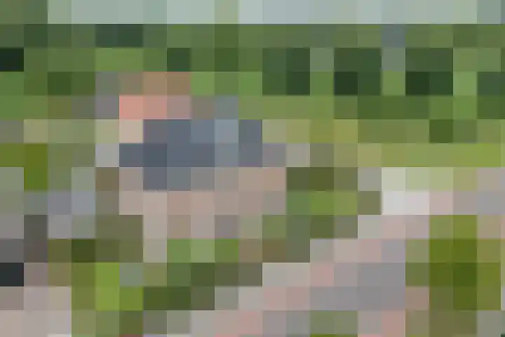 Hoekweg 33 Vroomshoop thumbnail 4