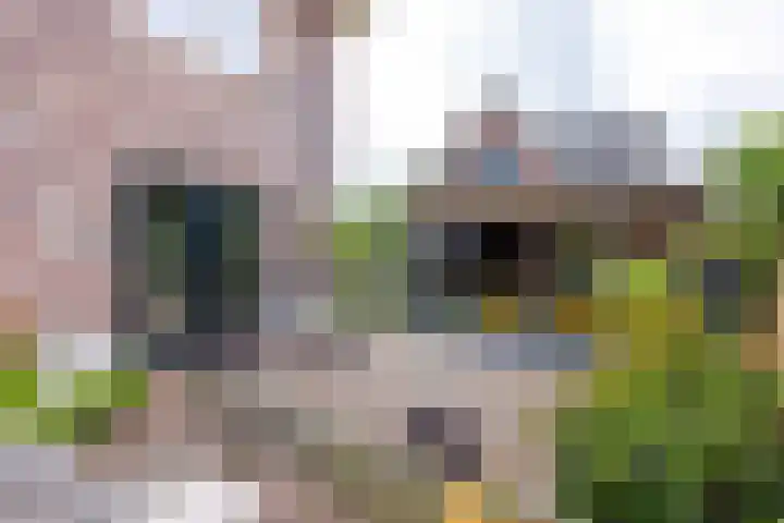 Hoekweg 33 Vroomshoop thumbnail 40