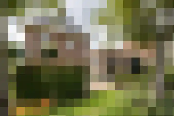 Hoekweg 33 Vroomshoop thumbnail 43