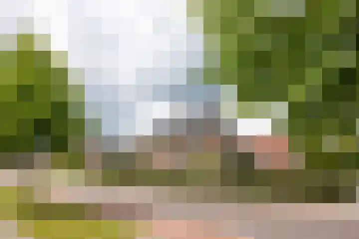 Hoekweg 33 Vroomshoop thumbnail 47