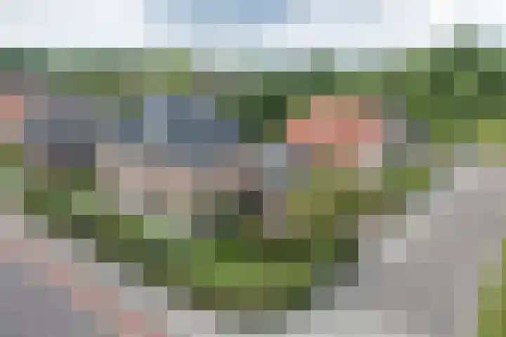 Hoekweg 33 Vroomshoop thumbnail 5