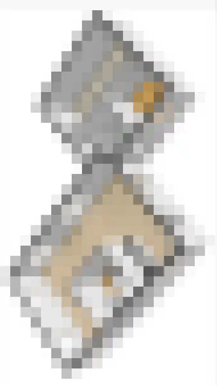 Hoekweg 33 Vroomshoop thumbnail 50