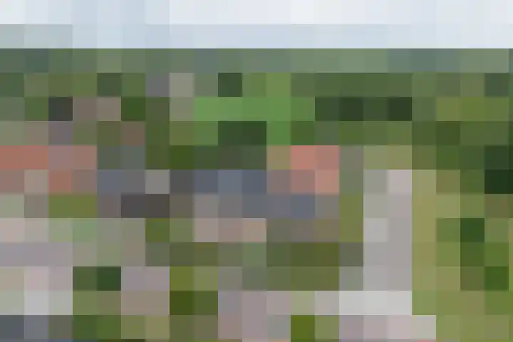 Hoekweg 33 Vroomshoop thumbnail 6