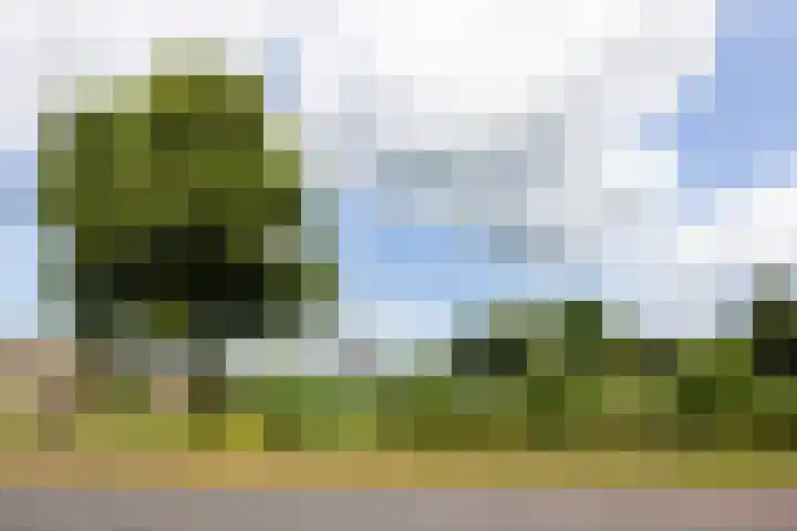 Hoekweg 33 Vroomshoop thumbnail 8