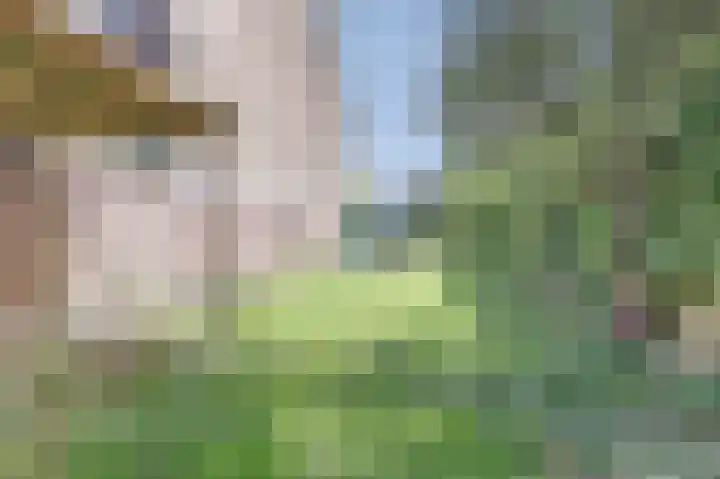 Hoekweg 39 Voorburg thumbnail 21