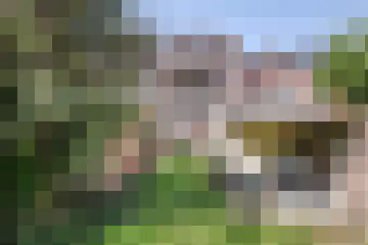 Hoekweg 39 Voorburg thumbnail 23