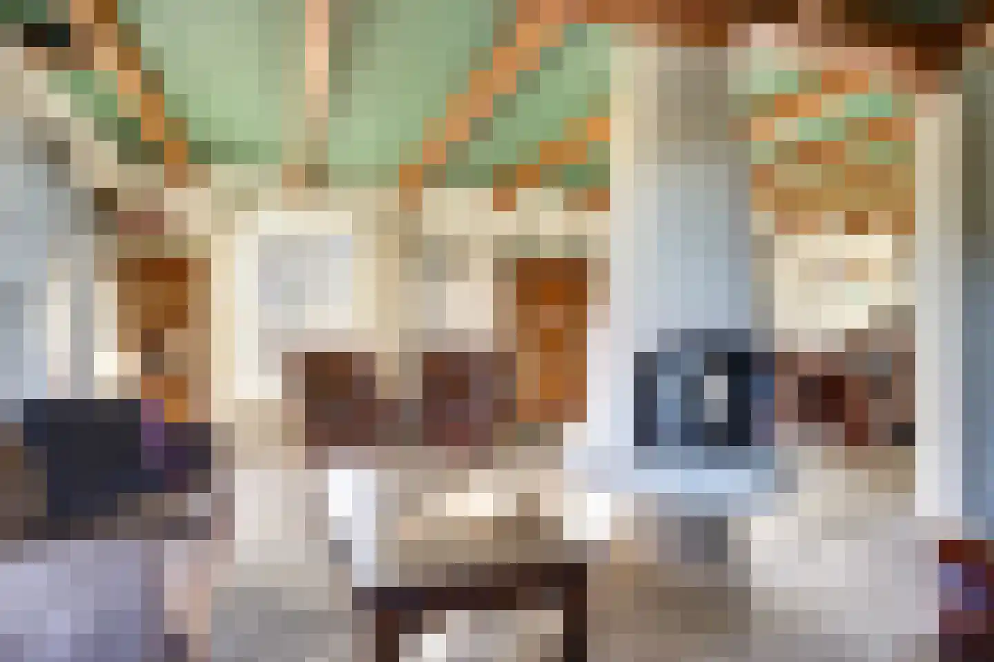 Hoekweg 42 Andijk thumbnail 11