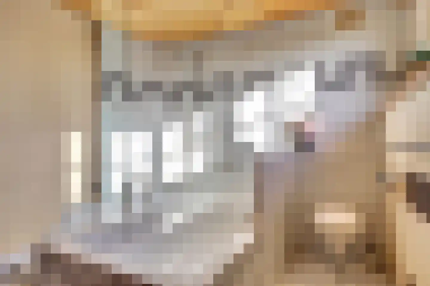 Hoekweg 42 Andijk thumbnail 26