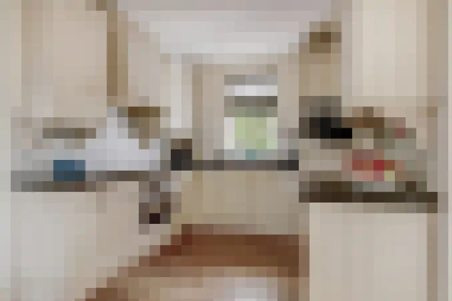 Hoekweg 6 Wijdenes thumbnail 18