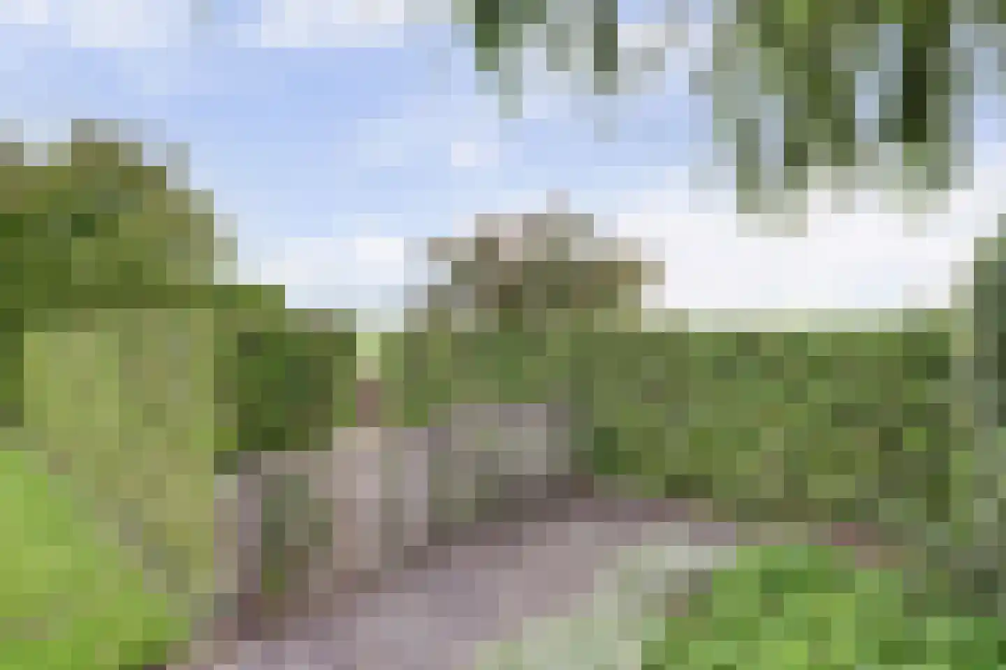 Hoekweg 6 Wijdenes thumbnail 35