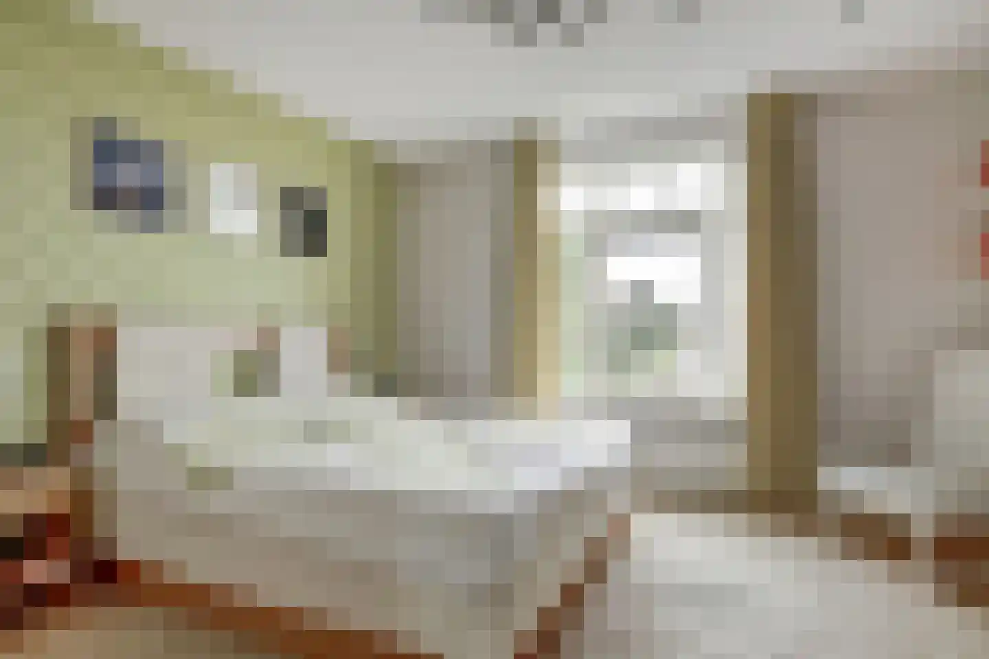 Hoekweg 6 Wijdenes thumbnail 40