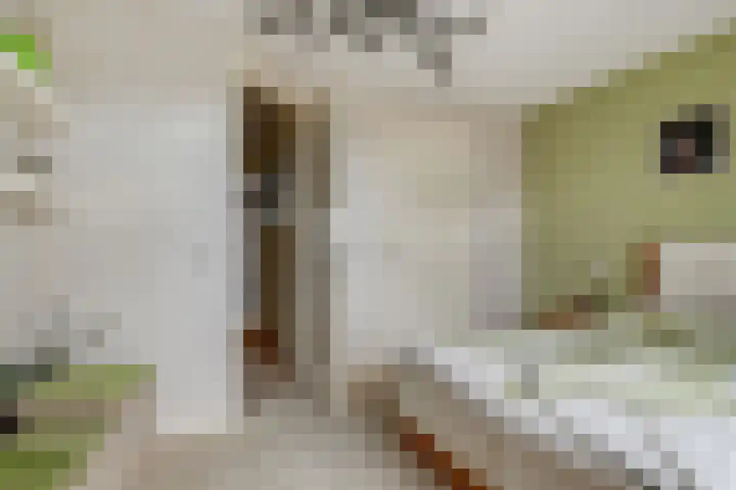 Hoekweg 6 Wijdenes thumbnail 41
