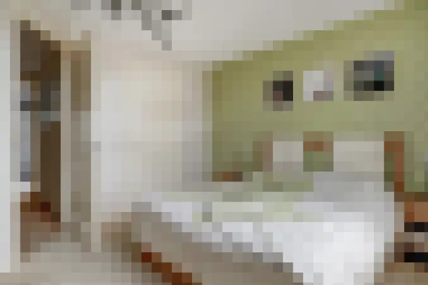 Hoekweg 6 Wijdenes thumbnail 42