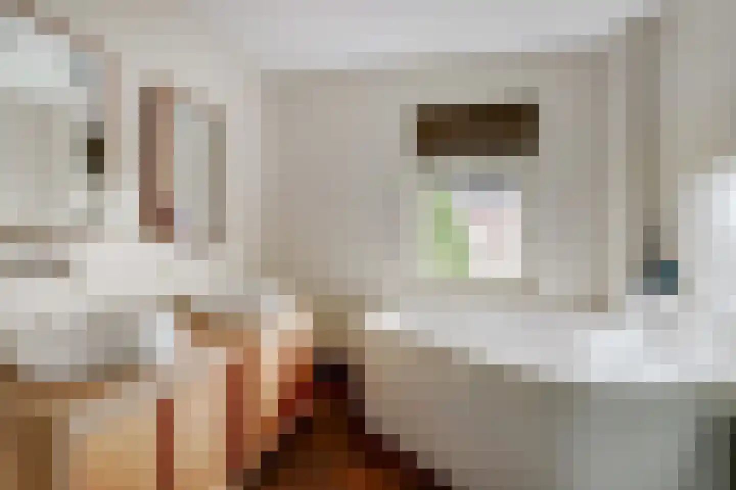 Hoekweg 6 Wijdenes thumbnail 45