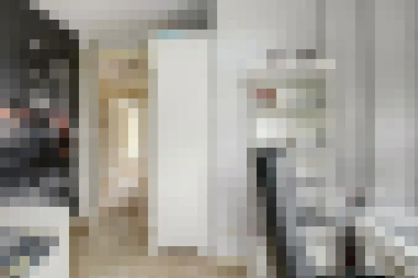 Hoekweg 6 Wijdenes thumbnail 47