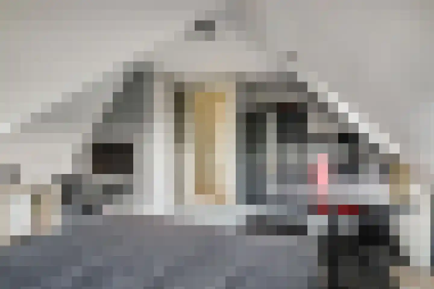 Hoekweg 6 Wijdenes thumbnail 52