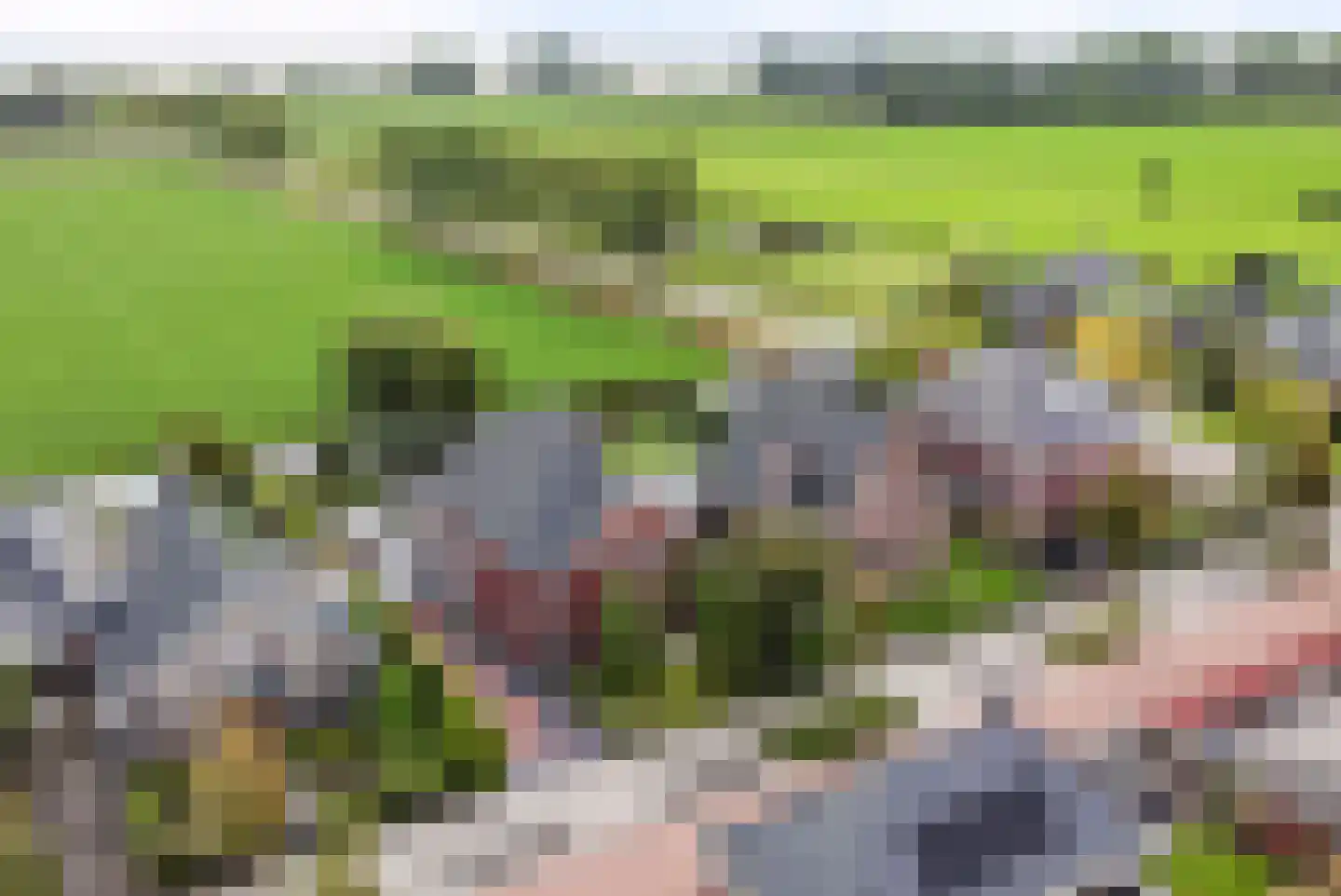Hoekweg 6 Wijdenes thumbnail 55