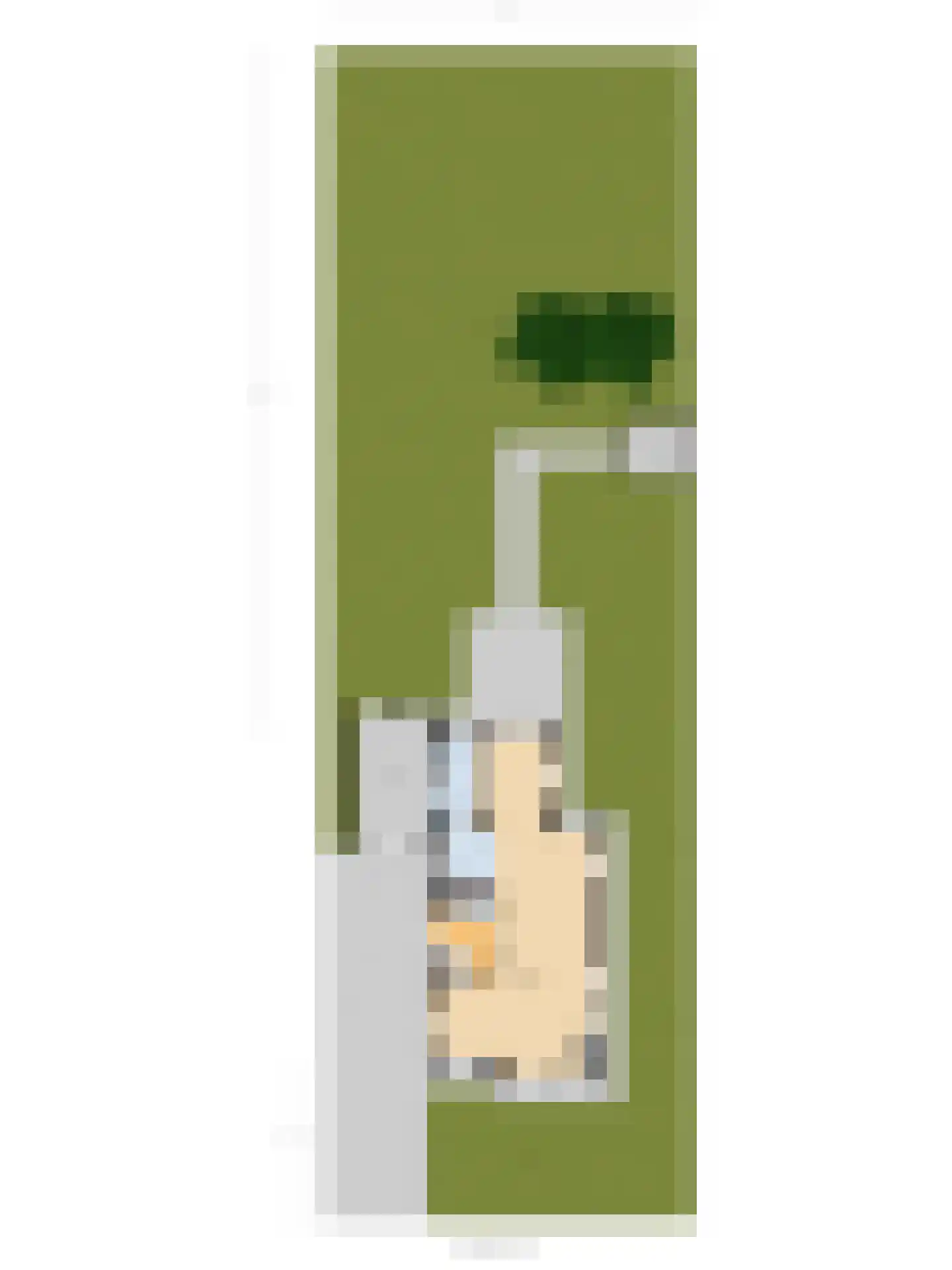 Hoekweg 6 Wijdenes thumbnail 68