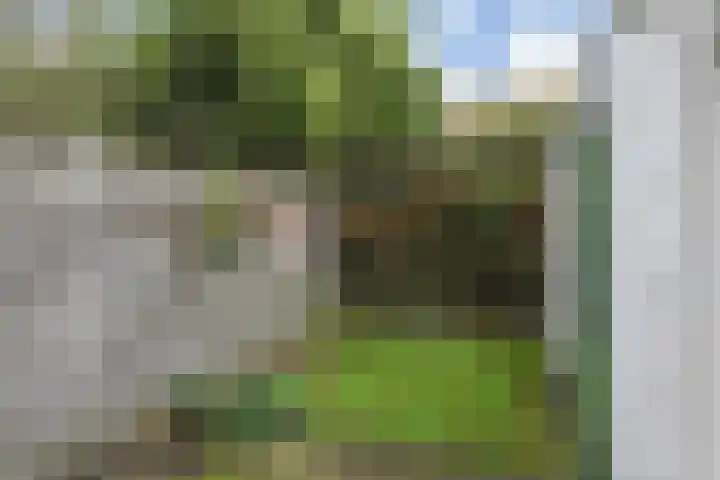 Hoekweg 7 Voorburg thumbnail 36