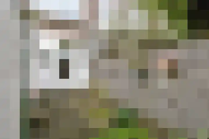 Hoekweg 7 Voorburg thumbnail 38