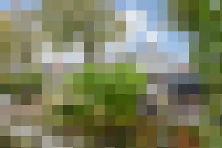 Hoekweg 7 Voorburg thumbnail 39