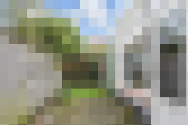 Hoekweg 7 Voorburg thumbnail 5