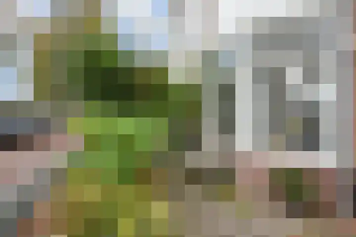 Hoekweg 7 Voorburg thumbnail 8
