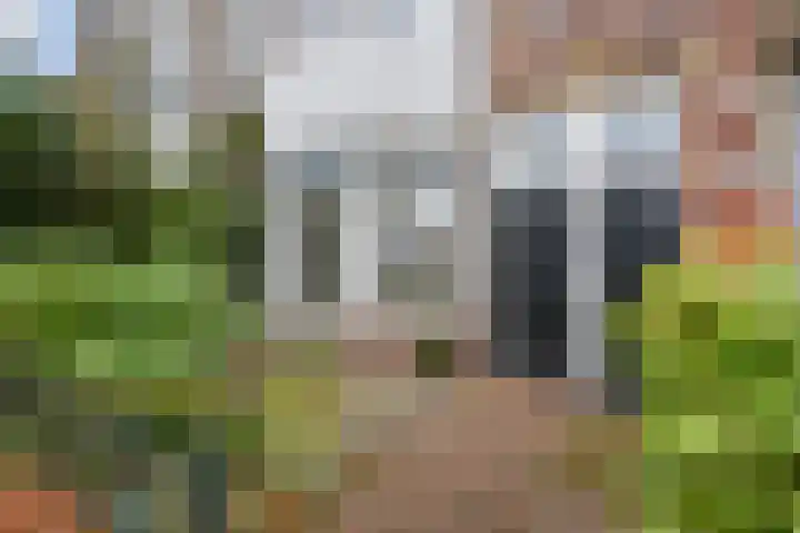 Hoekweg 7 Voorburg thumbnail 9