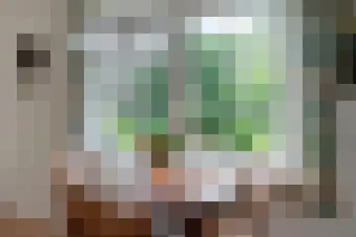 Hoekweid 2 Bergen (NH) thumbnail 11