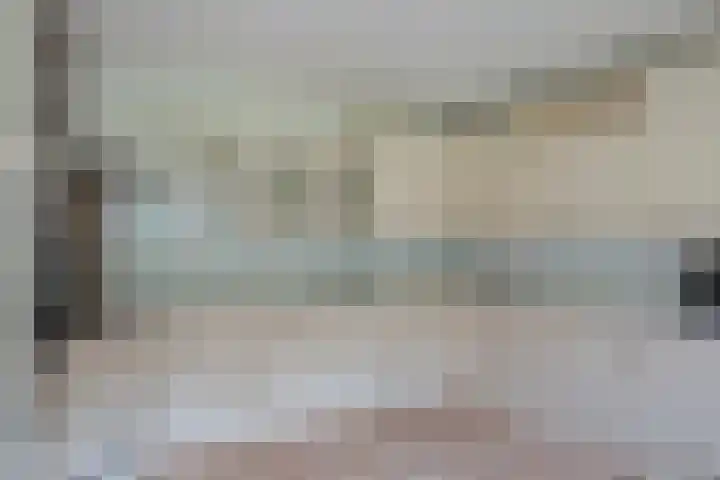 Hoekweid 2 Bergen (NH) thumbnail 12