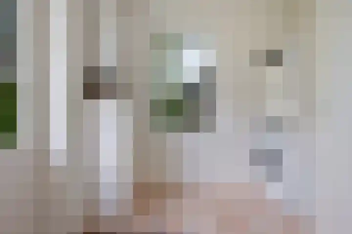 Hoekweid 2 Bergen (NH) thumbnail 14