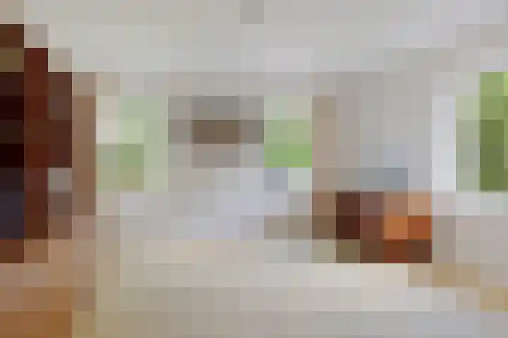 Hoekweid 2 Bergen (NH) thumbnail 15
