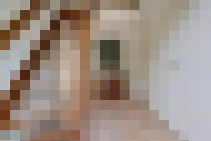 Hoekweid 2 Bergen (NH) thumbnail 17