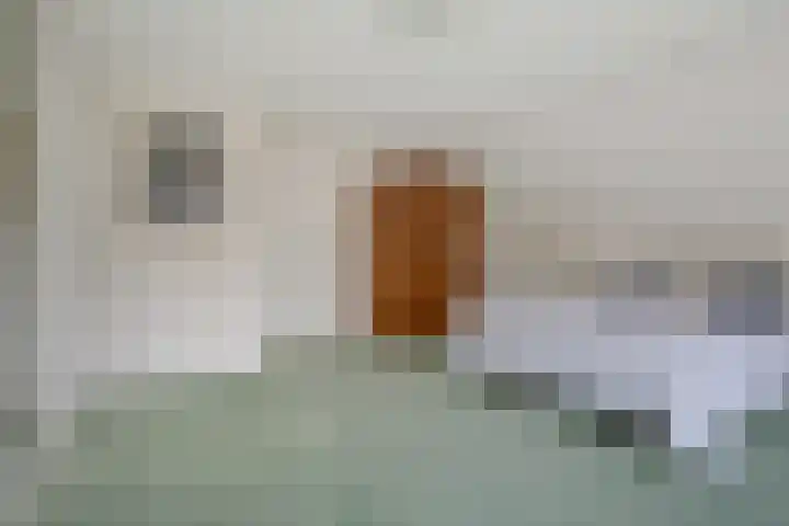 Hoekweid 2 Bergen (NH) thumbnail 19