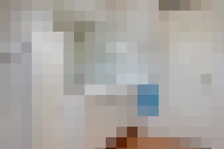 Hoekweid 2 Bergen (NH) thumbnail 22