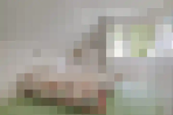 Hoekweid 2 Bergen (NH) thumbnail 24