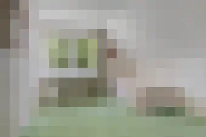 Hoekweid 2 Bergen (NH) thumbnail 25